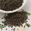 MIYUKI Delica Beads X-SEED-J020-DB0022-1