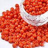 6/0 Glass Seed Beads SEED-S058-A-F264-1