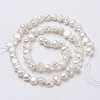 Natural Cultured Freshwater Pearl Beads Strands PEAR-P002-54-2