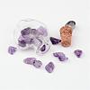 Heart Glass Bottle with Amethyst inside Pendants PALLOY-JF00172-04-2