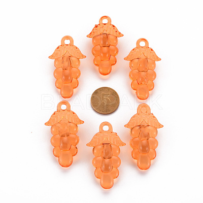 Autumn Theme Transparent Acrylic Beads TACR-S154-60B-921-1