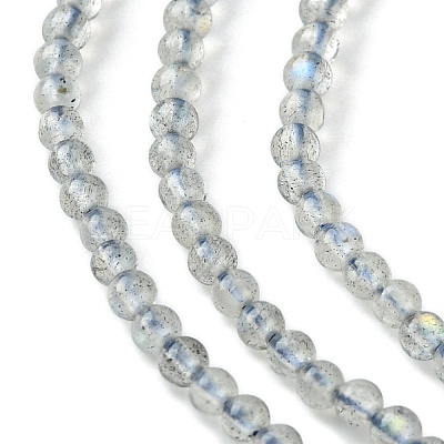 Natural Labradorite Beads Strands G-Z034-B04-02-1