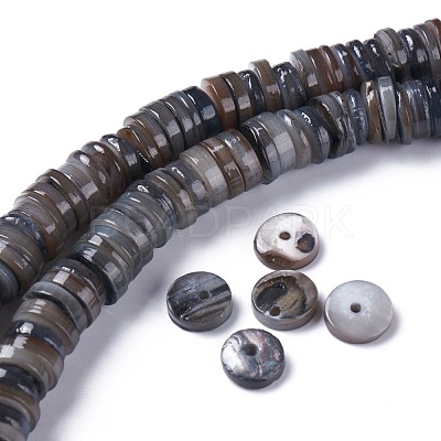 Natural Freshwater Shell Beads Strands X-BSHE-I016-04A-1