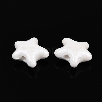 Handmade Porcelain Beads PORC-Q002-03B-01-1