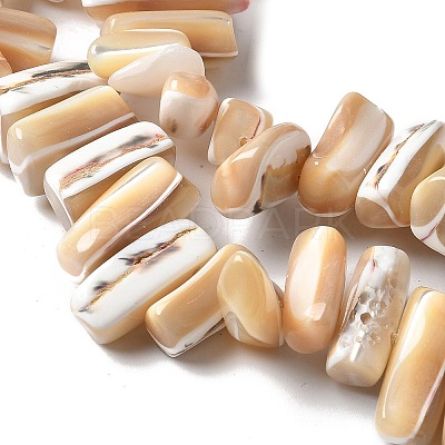 Dyed Natural Trochus Shell Beads Strands X-SSHEL-C013-09K-1