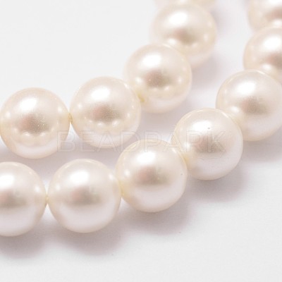 Shell Pearl Bead Strands BSHE-L026-03-8mm-1