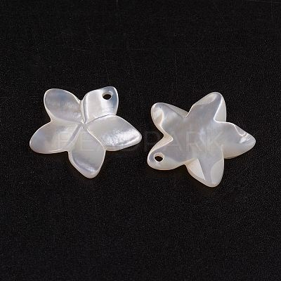 Natural White Shell Mother of Pearl Shell Pendants SSHEL-G014-60-1