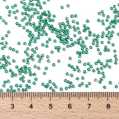 MIYUKI Round Rocailles Beads X-SEED-G009-RR0354-1