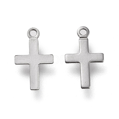 Non-Tarnish 304 Stainless Steel Charms LS-STAS-K195-15P-1
