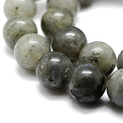 Natural Labradorite Bead Strands G-P256-01-8mm-1