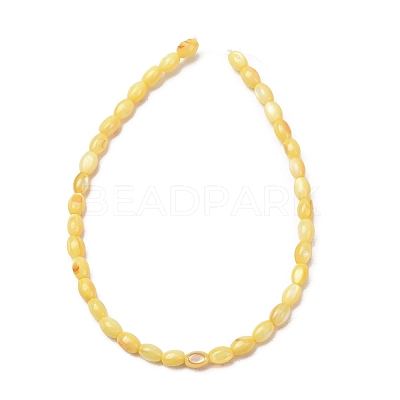 Dyed Natural Freshwater Shell Beads Strands SH-CBA2978-06B-1