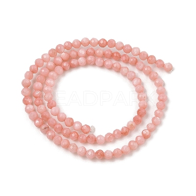 Natural Freshwater Shell Dyed Beads Strands SHEL-R100-12A-03-1