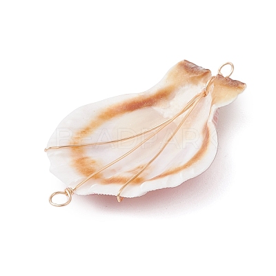 Natural Scallop Shell Copper Wire Wrapped Connector Charms PALLOY-TA00199-1