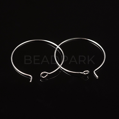 Silver Color Plated Brass Earring Hoops X-EC067-2S-1