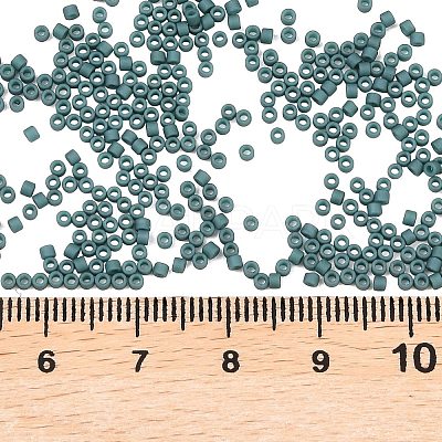 MIYUKI Delica Beads X-SEED-J020-DB2407-1