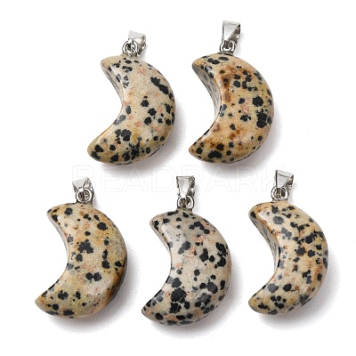 Natural Dalmatian Jasper Pendants G-F820-02L-16-1