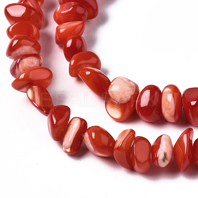 Natural Trochid Shell/Trochus Shell Bead Strands SSHEL-N034-78-C04-1