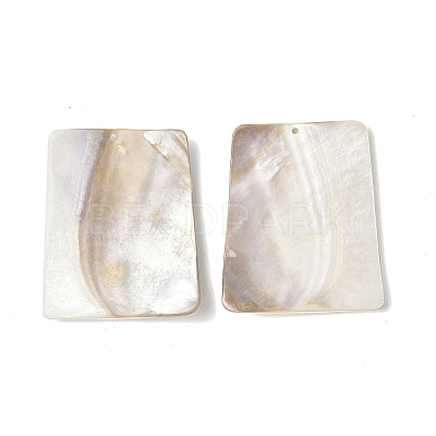 Freshwater Shell Big Pendants SHEL-C003-08-1