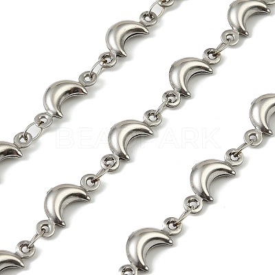 304 Stainless Steel MoonLink Chains CHS-A017-02A-P-1