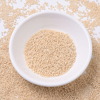 MIYUKI Delica Beads SEED-X0054-DB0205-1