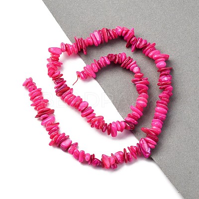 Natural Freshwater Shell Beads Strands BSHE-I016-01G-1