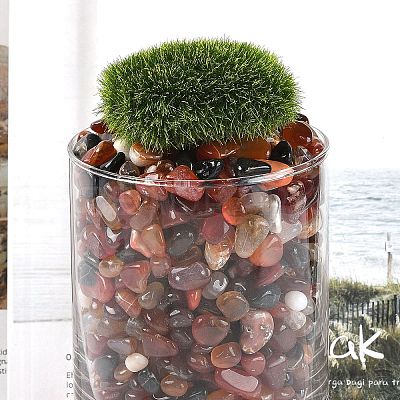 Dyed & Heated Natural Agate Beads G-J402-04B-02-1