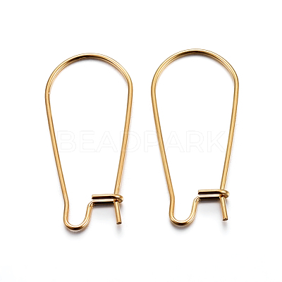 304 Stainless Steel Hoop Earring Findings STAS-P223-01G-05-1