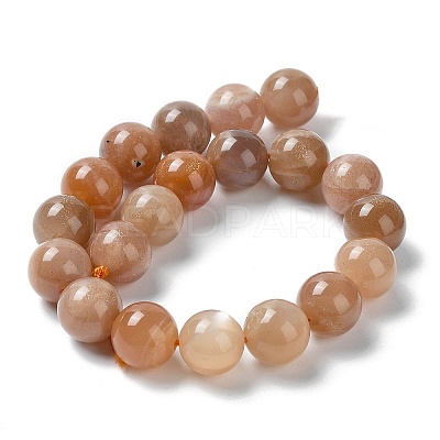 Natural Sunstone Beads Strands G-N327-01B-03-1