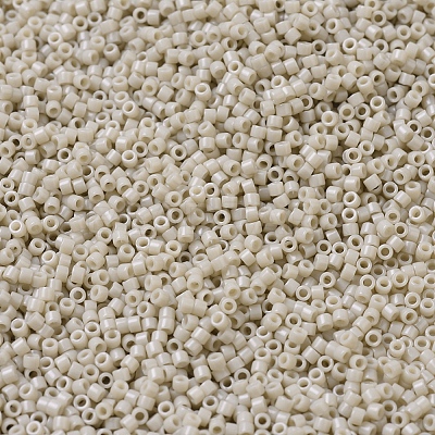 MIYUKI Delica Beads X-SEED-J020-DB0261-1