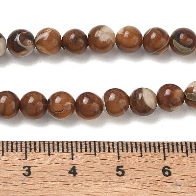 Natural Trochus Shell Beads Strands SH-CBAFEDD-02A-1