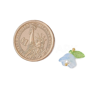 Glass Charms PALLOY-MZ00838-03-1