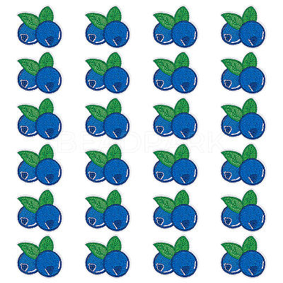 24Pcs Blueberry Computerized Embroidery Cloth Iron On/Sew On Patches PATC-BC0001-24-1