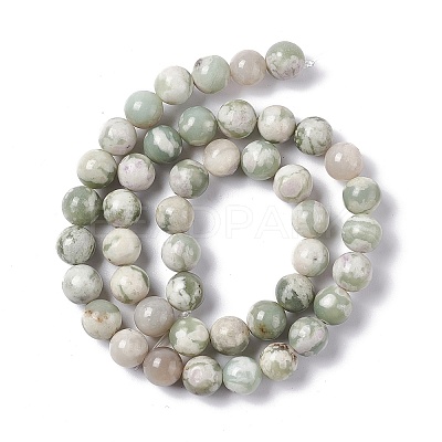 Natural Peace Jade Beads Strands X-G-G905-07-6MM-1
