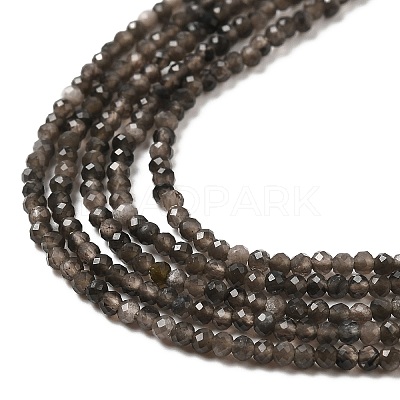 Natural Silver Sheen Obsidian Beads Strands G-E608-A02-A-1
