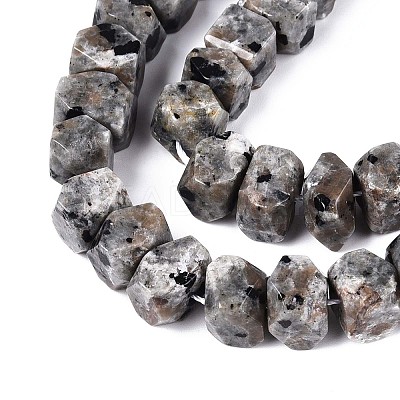 Natural Syenite Beads Strands G-D091-A32-1