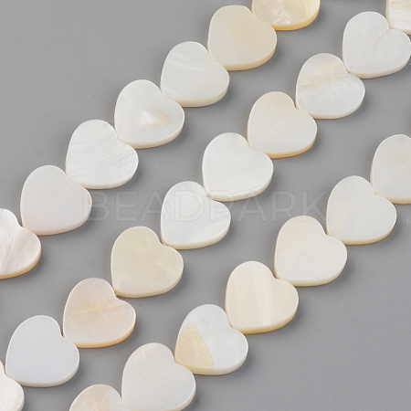 Natural Freshwater Shell Beads Strands SHEL-S276-87-1