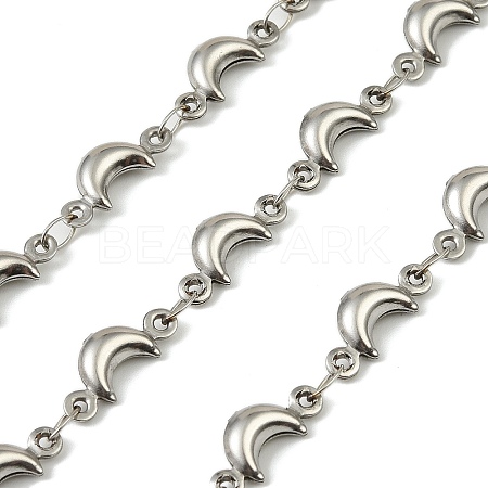 304 Stainless Steel MoonLink Chains CHS-A017-02A-P-1