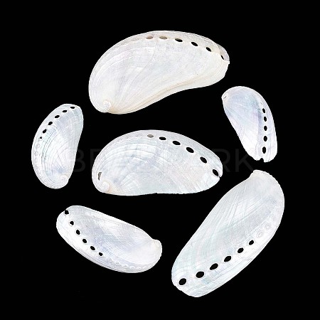 Abalone Shells Ornaments SHEL-T020-54-1