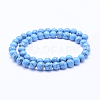Synthetic Turquoise Beads Strands G-F531-8mm-J03-2
