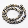 Natural Dalmatian Jasper Beads Strands X-G-D685-8mm-2