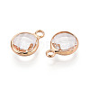Golden Tone Brass Glass Charms GLAA-ZX008-24E-G-2