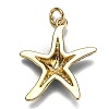 Brass Enamel Pendants KK-B029-03G-3