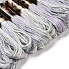 10 Skeins 6-Ply Polyester Embroidery Floss OCOR-K006-A16-2