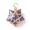 Wire Wrapped Electroplate Glass Charms PALLOY-JF01649-01-2