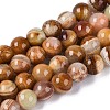 Natural Wood Lace Stone Wooden Jasper Beads Strands G-B128-A04-02-2
