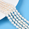 Natural Cultured Freshwater Pearl Beads Strands PEAR-N012-05B-01-1