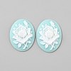 Resin Cabochons LS-CRES-WH0018-02A-1