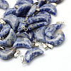 Moon Natural Blue Spot Jasper Pendants G-Q369-14-1