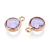 Golden Tone Brass Glass Charms X-GLAA-ZX008-24I-G-2