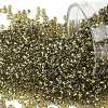 TOHO Round Seed Beads SEED-JPTR11-0758-1